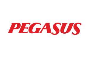 Pegasus